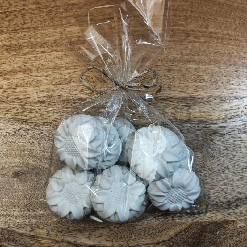 Słonecznik w woreczku